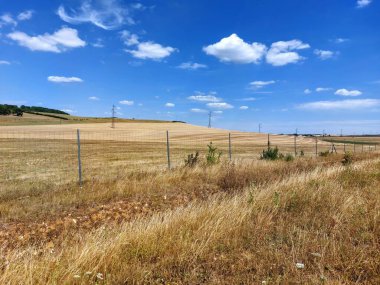 Sampzon, Fransa 'da çitlerle çevrili bir alandaki altın tarlaların manzarası