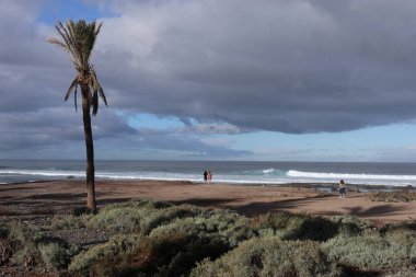 Bulutlu bir gökyüzünün altında bir palmiye ağacıyla sahildeki birkaç insanın güzel manzarası.