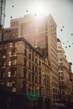 Manhattan 'ın aşağısındaki Soho mahallesinde, tepesinde güneş ışınları olan ve üzerinde kuşlar uçuşan dikey bir bina.