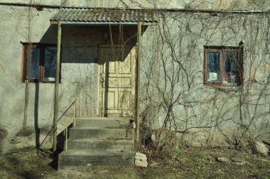 Tahta kökleri büyüyen tarihi bir taş ev cephesi.