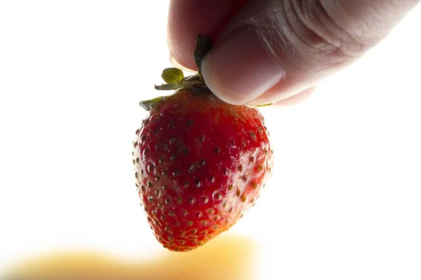 Primer Plano Dedos Pellizcados Sosteniendo Una Deliciosa Jugosa Fresa Roja — Foto de Stock
