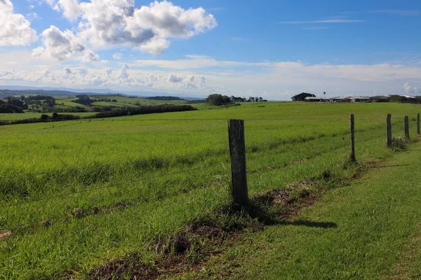 Mesmerizing View Beautiful Green Field Trees Cloudy Sky Kiama South — Stock Photo, Image