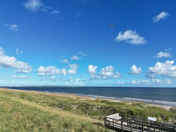 Een Vogel Die Door Lucht Vliegt Terwijl Maan Uit Ook — Stockfoto