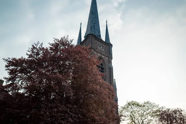 Büyük Kahverengi Bir Ağacın Arkasına Gizlenmiş Sint Trudokerk Stiphout Kilisesinin — Stok fotoğraf