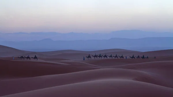 Силуэт Котором Люди Едут Верхом Верблюдах Пустыне Закатом Неба — стоковое фото