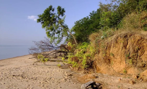 Een Landschap Met Heuvel Bomen Aan Kust Van Een Oceaan — Stockfoto