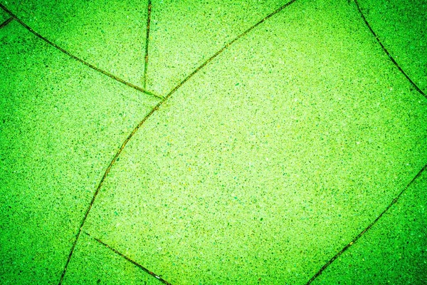 カリフォルニア州ロサンゼルスの緑の舗装の質感のトップビュー — ストック写真