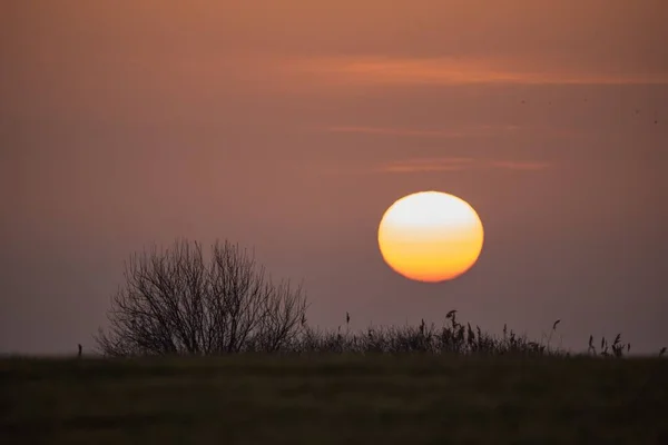 Der Gelbe Runde Sonnenuntergangshimmel Orangen Himmel Über Dem Feld — Stockfoto