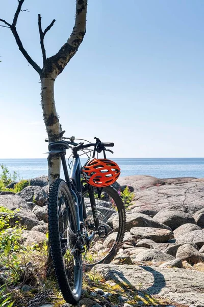 Tiro Vertical Uma Bicicleta Com Capacete Amarrado Uma Árvore — Fotografia de Stock