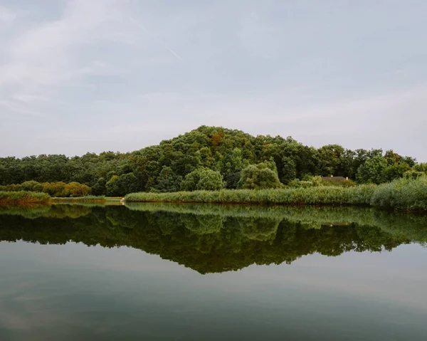 川に映る緑の森 — ストック写真