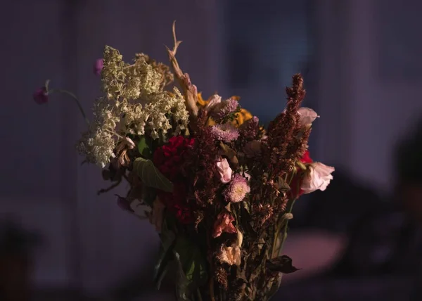 Een Selectieve Focus Shot Van Bos Van Droge Bloemen — Stockfoto