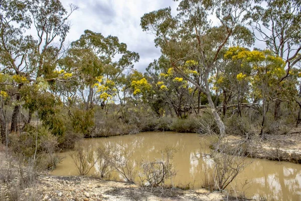 Vacker Utsikt Över Sjö Eller Damm Emmaville New South Wales — Stockfoto