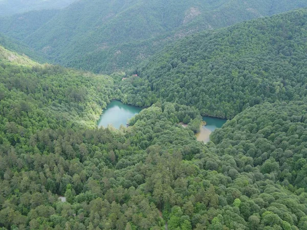 Αεροφωτογραφία Μιας Μικρής Λίμνης Που Περιβάλλεται Από Πυκνό Δάσος — Φωτογραφία Αρχείου