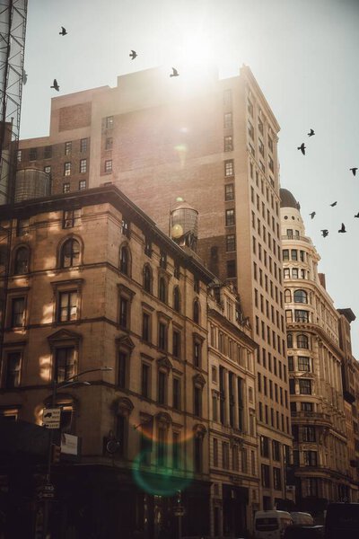 A residential building in Soho neighborhood in Lower Manhattan New York City with sunrays on the top and birds flying over it,vertical shot