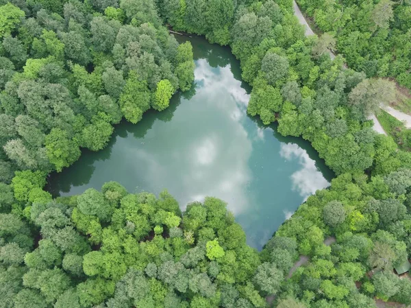 Uma Vista Aérea Pequeno Lago Cercado Por Floresta Espessa — Fotografia de Stock