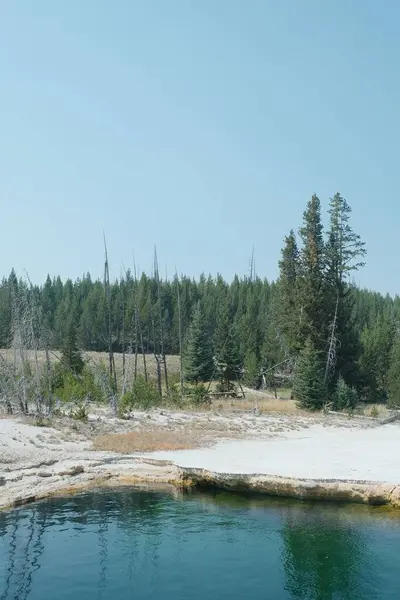 Een Prachtig Uitzicht Een Oever Van Het Meer Bij Yellowstone — Stockfoto