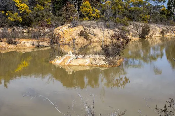 Den Vackra Sjön Och Naturen Emmaville New South Wales Australien — Stockfoto