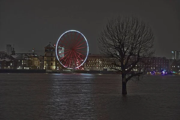 Grayscale Single Tree Flooded Rhine River Duesseldorf Ferris Wheel Background — Stock Photo, Image