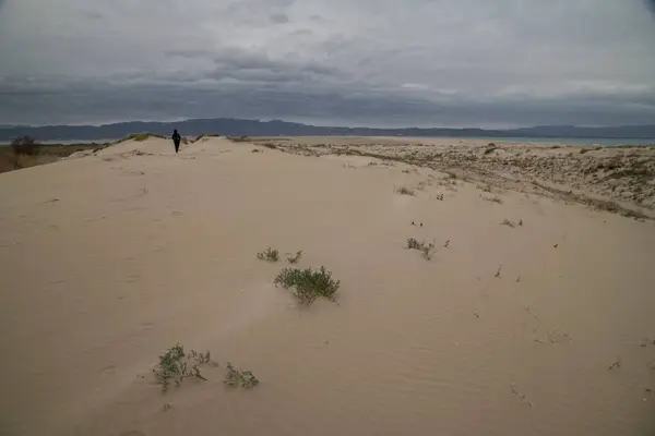 Övergivna Sanddynerna Badia Del Fangar Delta Del Ebre Katalonien Molnig — Stockfoto