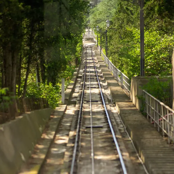 Ferrocarril Denso Parque Verde Bajo Los Rayos Del Sol — Foto de Stock