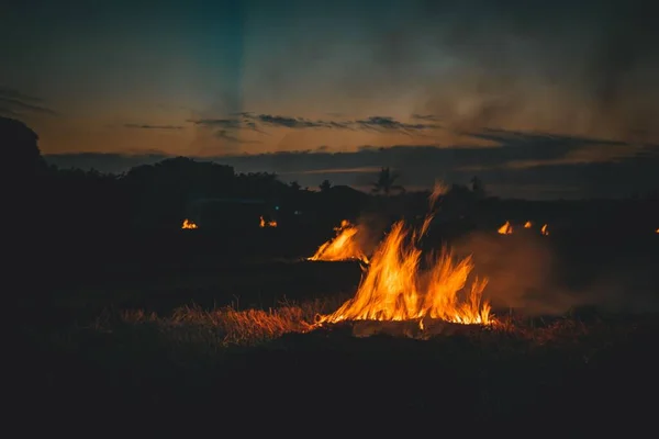 Gros Plan Plusieurs Feux Joie Dans Obscurité Champ — Photo