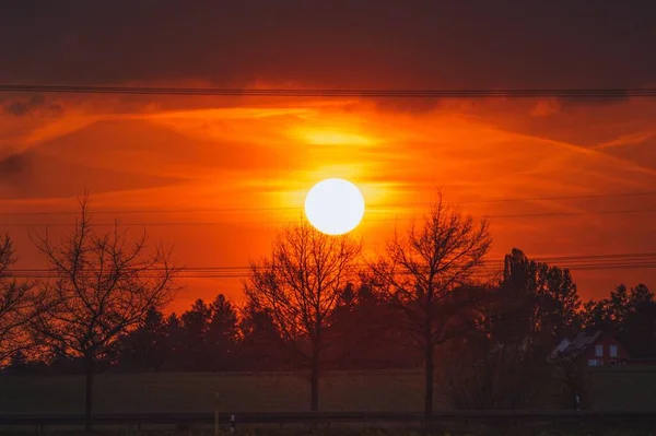 Une Vue Calme Colorée Sur Coucher Soleil Derrière Silhouette Arbre — Photo