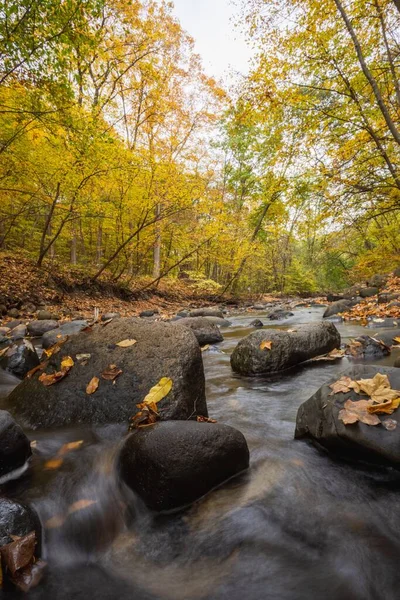Long Exposure Nine Mile Creek Bloomington Minnesota Autumn Trees Leaves — Stock Photo, Image