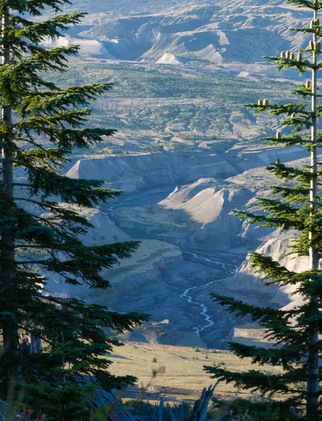 Kayalık Tepeler Güneşli Havalarda Vahşi Doğayla Güzel Bir Manzara — Stok fotoğraf