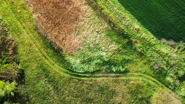 地面を覆うカラフルな草で風光明媚な風景のドローンショット — ストック写真
