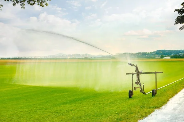 Grasgroen Gras Krijgt Water Met Behulp Van Een Sprinklerinstallatie Met — Stockfoto