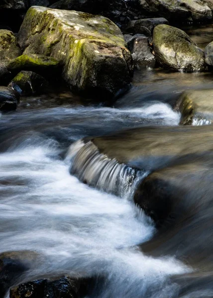 Ein Gebirgsstrom Südosten Von Tennessee — Stockfoto