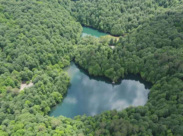 Luftaufnahme Eines Kleinen Sees Umgeben Von Dichtem Wald — Stockfoto