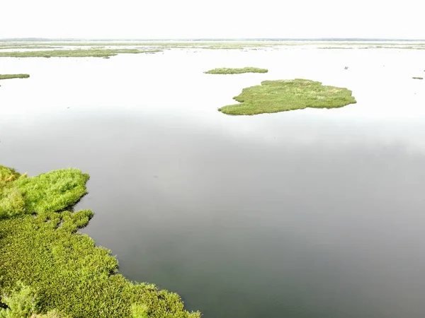 Sakin Bir Gölde Yeşilliği Olan Adaların Havadan Görünüşü — Stok fotoğraf