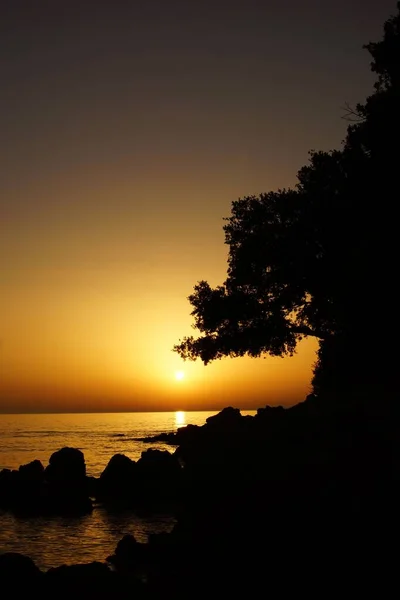 Eine Silhouette Von Bäumen Und Felsen Strand Bei Sonnenuntergang — Stockfoto