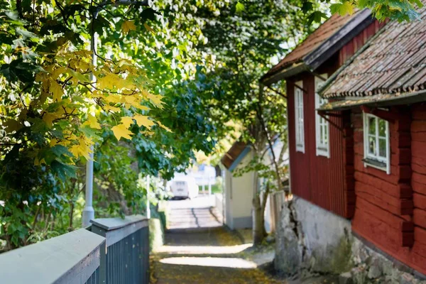 Uma Bela Vista Uma Estrada Com Casas Coloridas Árvores Altas — Fotografia de Stock