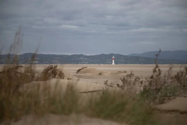 Vacker Utsikt Över Fyr Badia Del Fangar Delta Del Ebre — Stockfoto