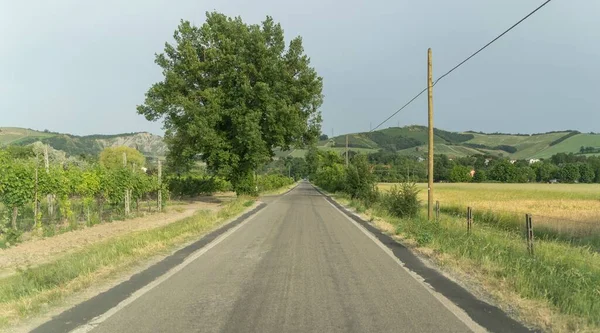 Scenic View Empty Asphalt Road Green Field Countryside Codrignano Bologna — Stock Photo, Image