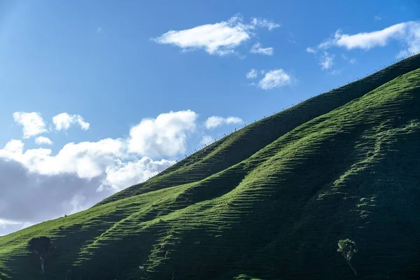 Açık Gökyüzü Arka Planında Kırsal Bir Alanda Yeşil Dağlık Bir — Stok fotoğraf