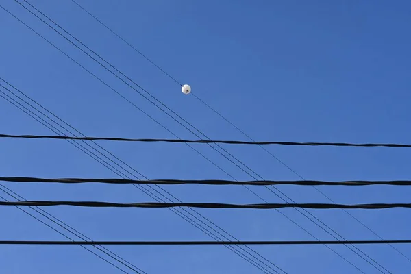파란색 하늘에 전봇대의 철사의 — 스톡 사진