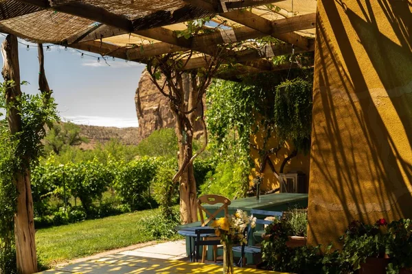 Hermoso Patio Aire Libre Una Casa Madera Con Plantas Muebles — Foto de Stock