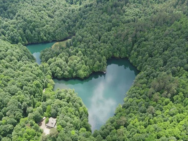 Luftaufnahme Eines Kleinen Sees Umgeben Von Dichtem Wald — Stockfoto