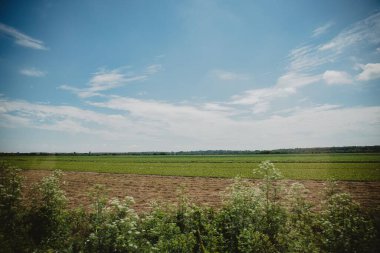 İnce bir gökyüzünün altındaki tarımın manzarası.