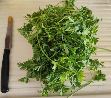 Bir demet maydanozu yakın plan çekimde tatlandırılmaya hazır.