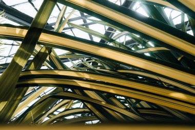 Yeşil ve sarı çeşitlendirilmiş Formium (Phormium) yapraklarının yakın çekimi. Lanceolate yaprağının detaylı fotoğrafçılığı