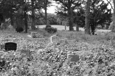 Almanya 'nın Goslar kentindeki Gut Grauhof' da büyümüş bitkilerle çevrili eski bir mezarlığın gri pulu.