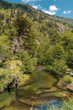Güneşli bir günde Fort Bragg 'daki Noyo Nehri' nde Madsen Hole 'un dikey görüntüsü.