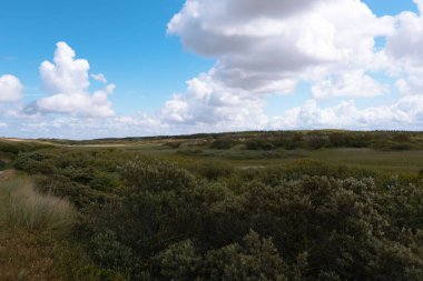 Masmavi gökyüzü ve arka planda güzel bulutlar olan yemyeşil ağaçların güzel manzarası.