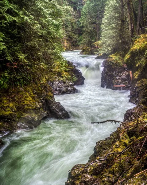 Uma Foto Vertical Cachoeira Little Qualicum Falls Vancouver Island Canadá — Fotografia de Stock