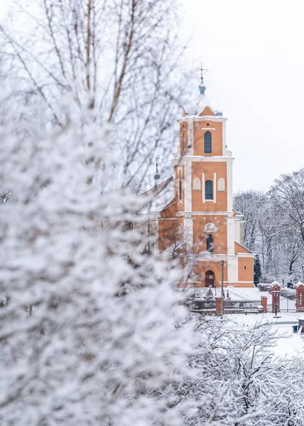 Pionowe Ujęcie Wieży Zegarowej Pobliżu Śnieżnobiałych Krzewów Litwie — Zdjęcie stockowe