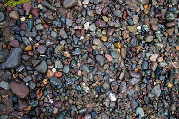 Pedras Seixos Chão — Fotografia de Stock